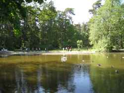 Teich im botanischen Park
