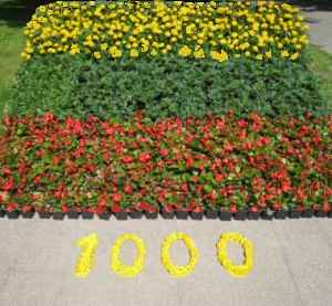 Geschichte von Litauen